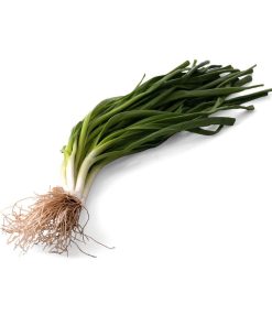 Yeşil Soğan (1 bağ)